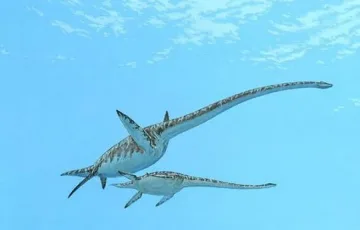 Откриха "брат" на чудовището от Лох Нес