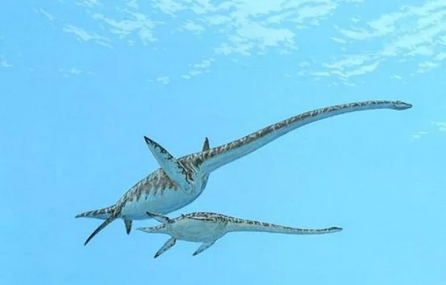 Откриха "брат" на чудовището от Лох Нес