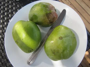 Мангото топи мазнините