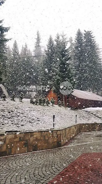 Сняг вали в Родопите