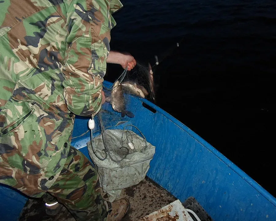 Забранява се уловът на риба в рибностопанските обекти