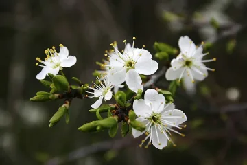 Предимно слънчево в събота