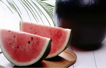 6100 долара за диня