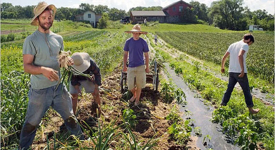 17,6 млн. лева получават стопаните в необлагодетелстваните райони