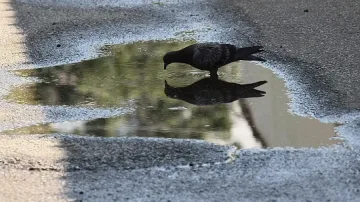 Дъжд и температури между 14° и 19° утре