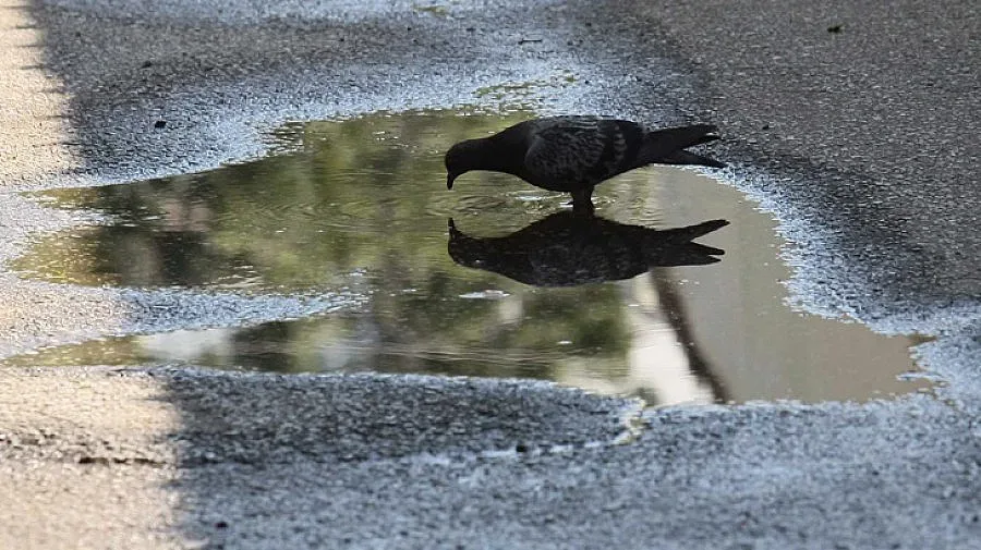 Дъжд и температури между 14° и 19° утре