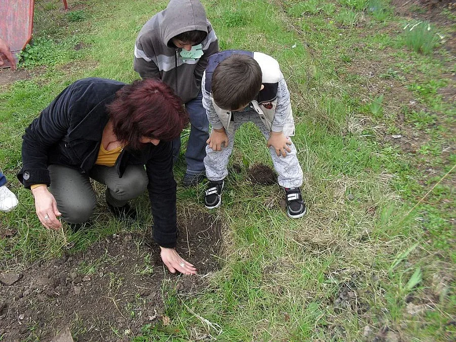 Садят дръвчета за Седмицата на гората