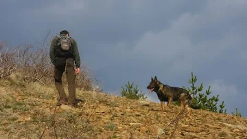 Овчарката Барс търси кой отрови лешоядите