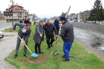 Кметът на Банско Георги Икономов засади дръвчета