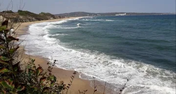 Действащи са 65 договори за наем на плажове