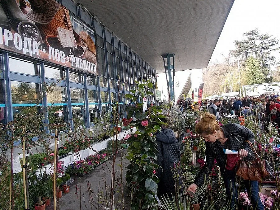 Хоби фест с много атракции в Пловдив