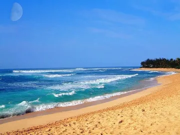 20% ръст на туристите от Русия