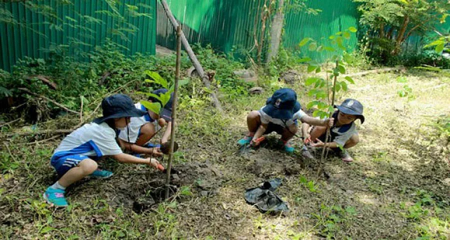 Деца садят фиданки в Седмицата на гората