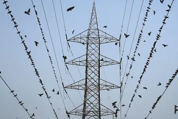 Николов ОТ ГЕРБ: Трябва да спасим енергетиката