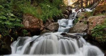 22 март – Световният ден на водата