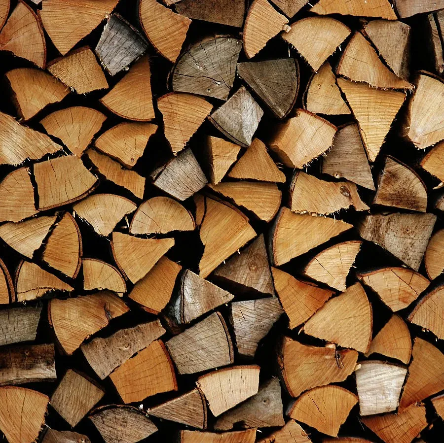 Спипаха бракониер на дърва край Белица