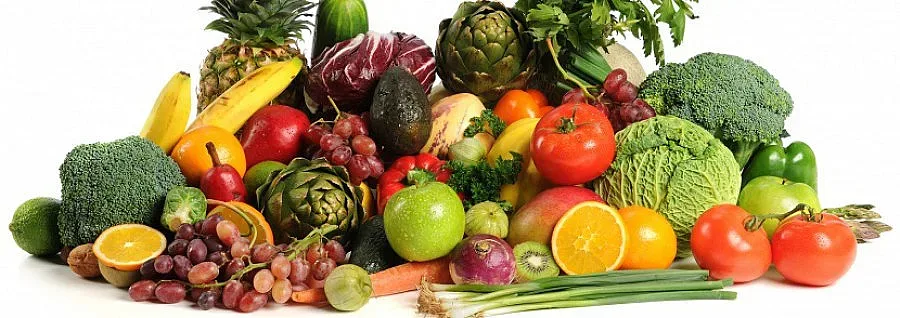 Строят завод за преработка на плодове и зеленчуци в с. Дагоново