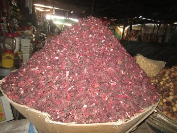 Каркадето е червеният еликсир на фараоните