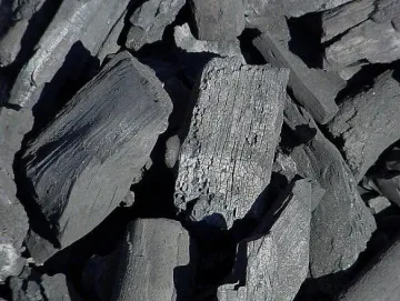 Българските евродепутати защитават в Брюксел ТЕЦ-овете ни