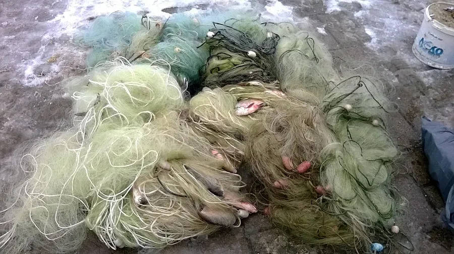 Погнаха прокурор за риба