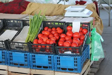 Данъчни проверяват зеленчуковата борса в Кърналово, Петрич