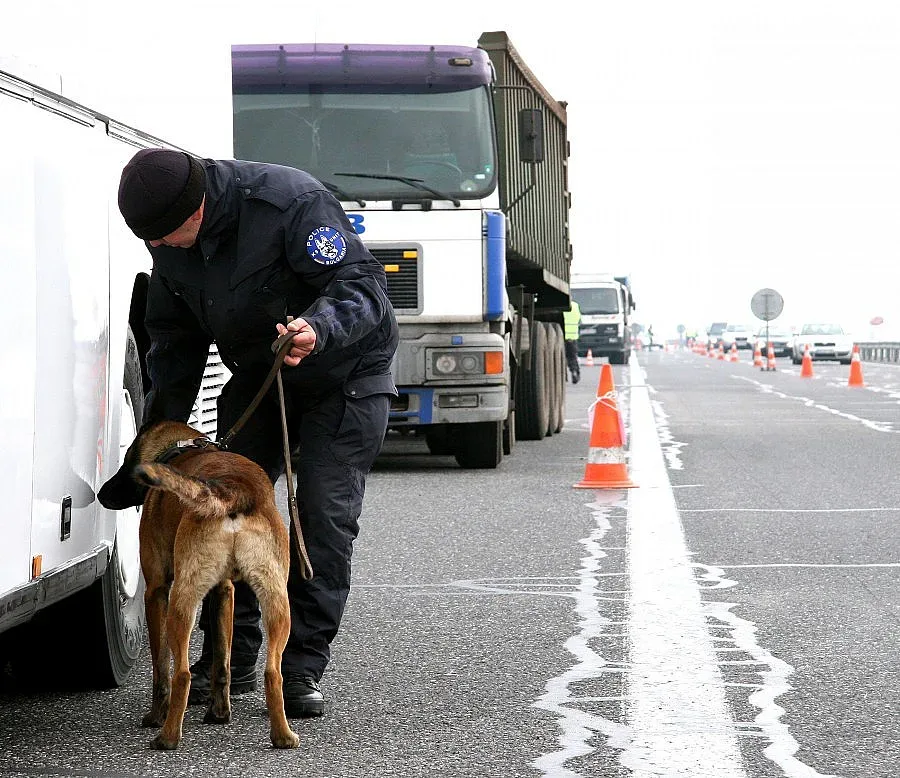 Закопчаха крадци на Траянови врата