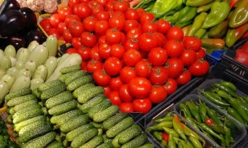 ДФЗ дава 1,5 млн. лв. за застраховки на земеделска продукция