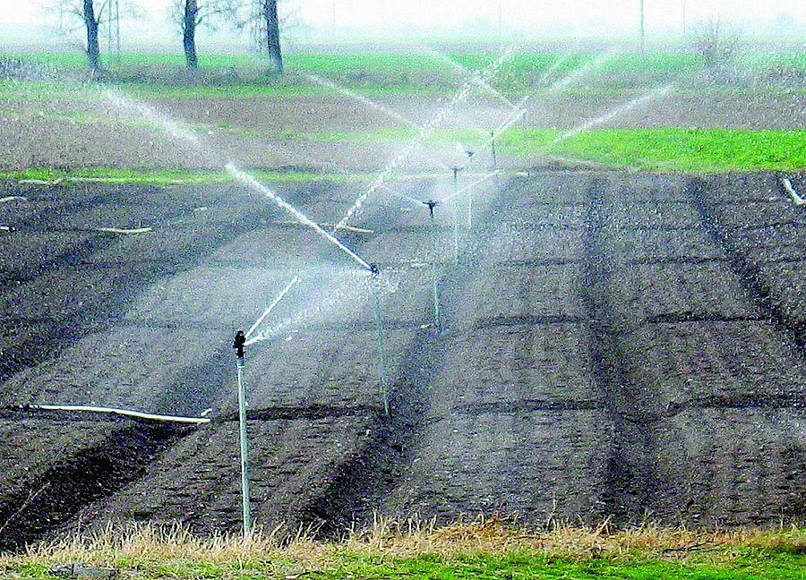 С 5 млн. лв. са нараснали задълженията на „Напоителни системи" за осем месеца