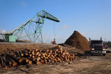 Модернизират производство на пелети в Кирковско 