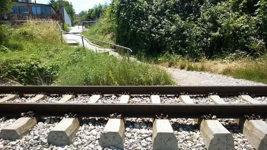 Млада жена убита и хвърлена в дере