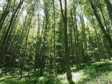 Нов шеф в ЮЗДП