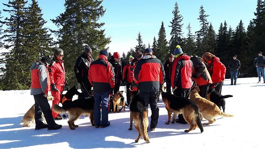 Спасиха французи, изгубени в Балкана