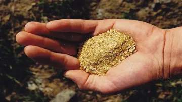 Белица иска да е родният Клондайк