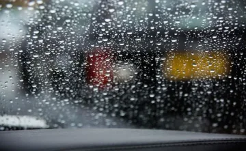 Нов студен фронт