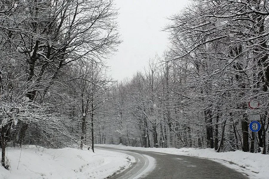 Верижни катастрофи на пътя за хижа „Алеко”