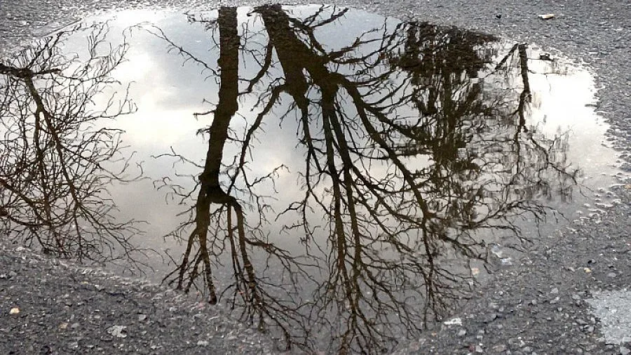 Облачно и дъждовно днес