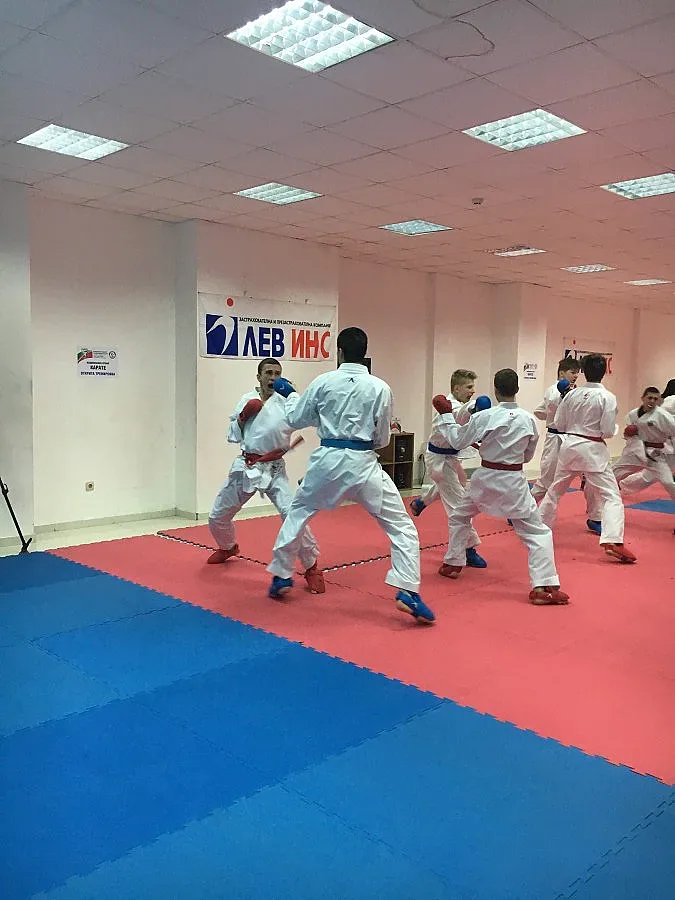 1200 състезатели на Европейското по карате в София