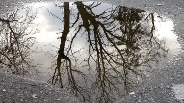 Новата седмица започва със студ