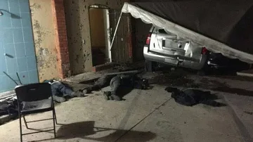 Унищожиха наркобарон в касапница