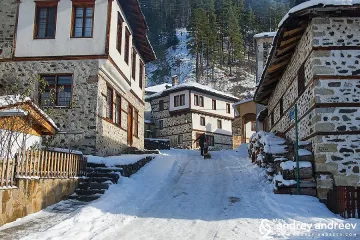 Изведоха афганистанчета от Широка лъка