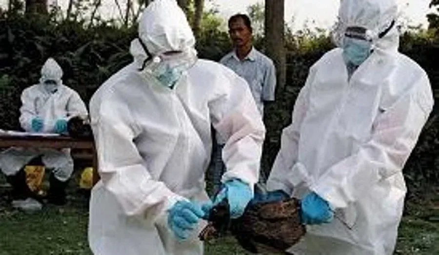 Русия спира вноса на пилешко от България