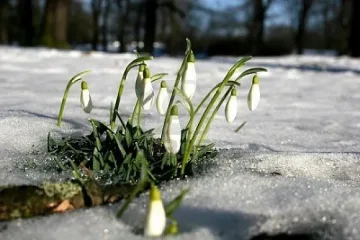 По-топло време днес