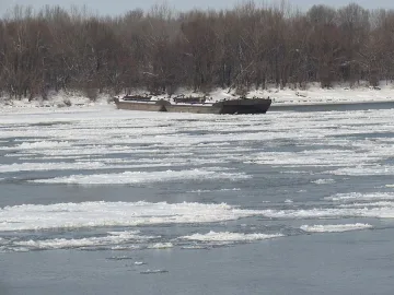 Лед скова Дунав при Русе