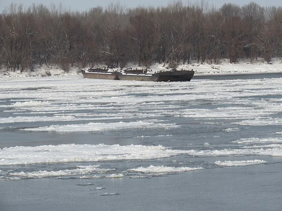 Лед скова Дунав при Русе