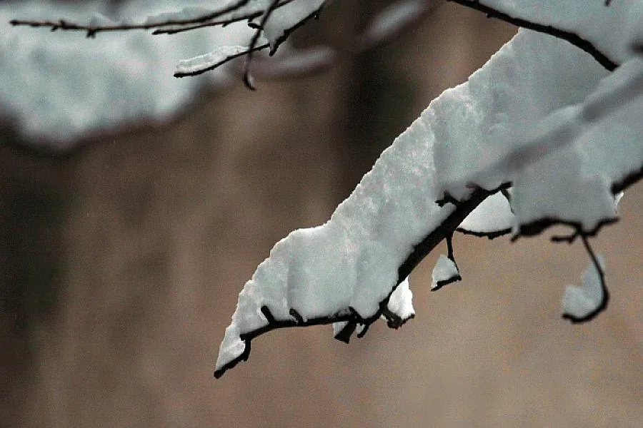 Жълт код заради ниски температури в 17 области