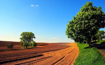 Фермерите може да проверят дали подлежат на подпомагане