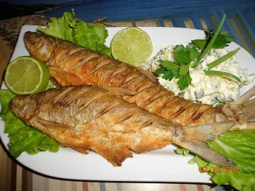 Ядеш риба, а то пластмаса