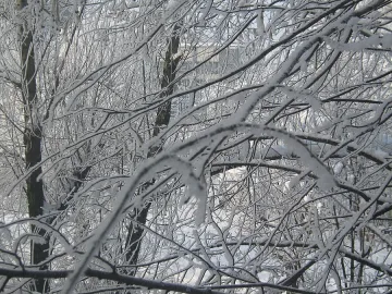 Синоптик: Очакват ни до -20° в края на седмицата
