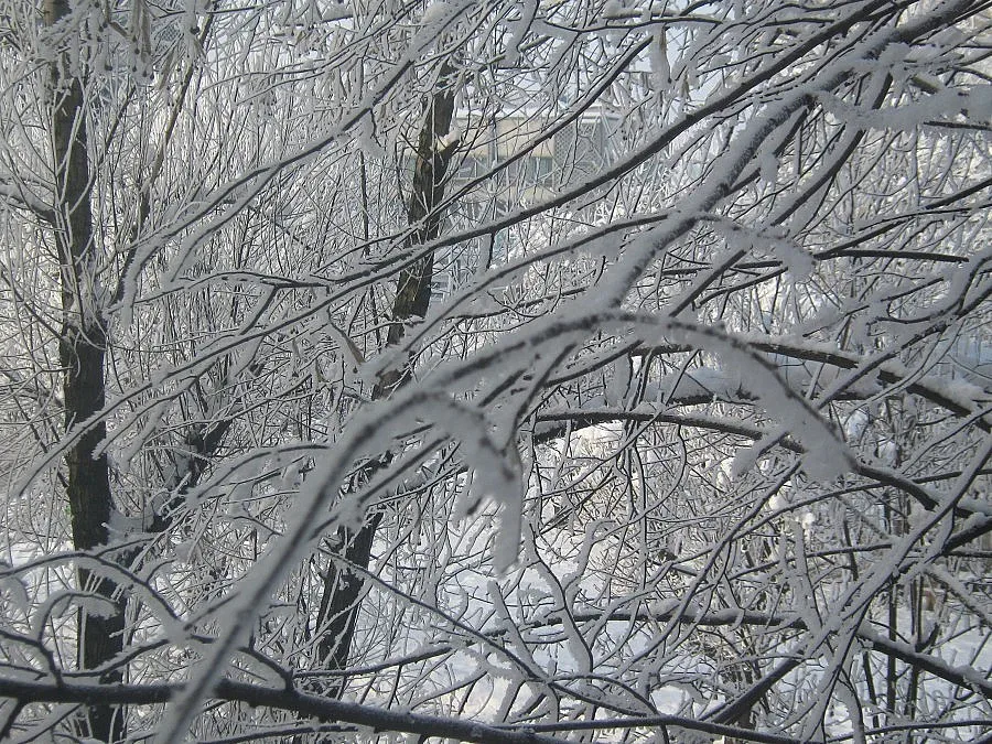 Синоптик: Очакват ни до -20° в края на седмицата