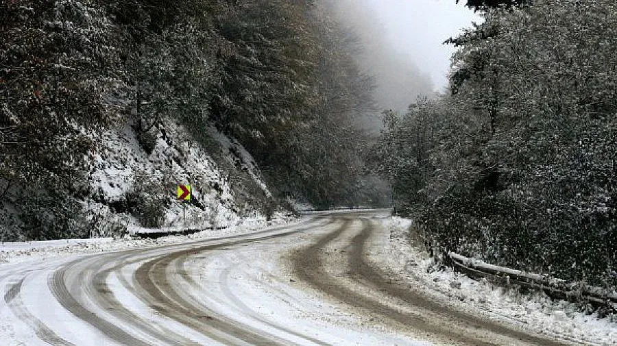Баровци препъват рейсовете в Драгалевци
